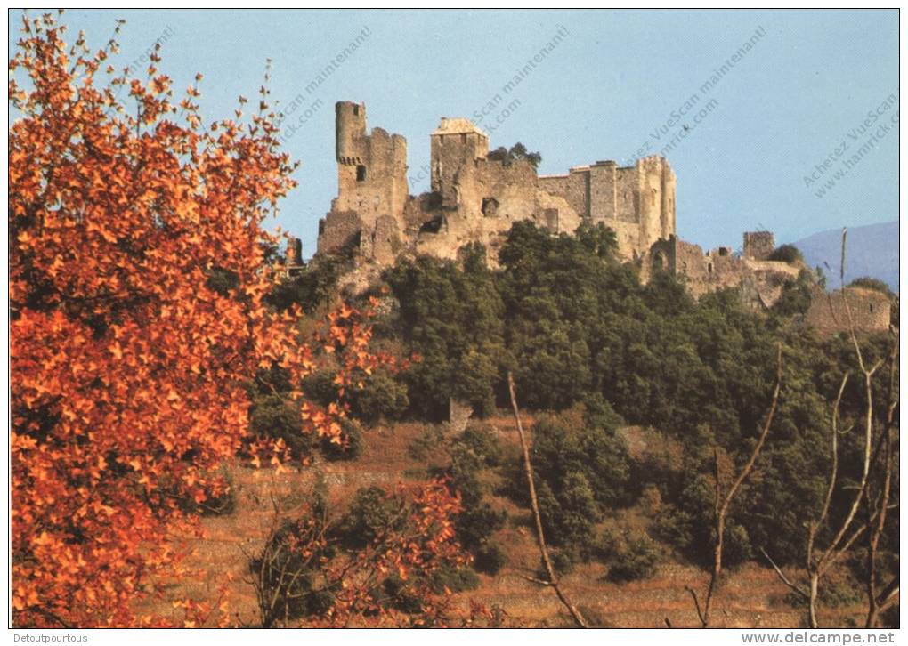 couleur horiz (35).jpg